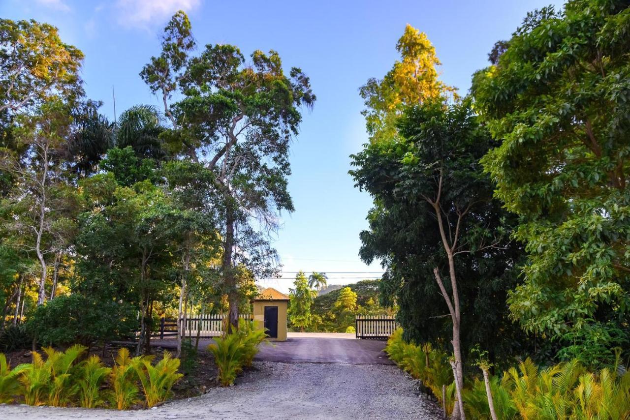Hacienda La Huerta Puerto Plata, 1 Bdr Villa Exteriör bild